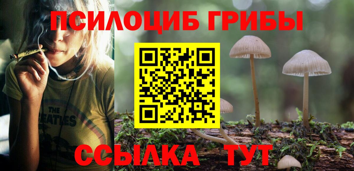 Псилоцибиновые грибы MAGIC MUSHROOMS  Вход с VPN  Павлово 